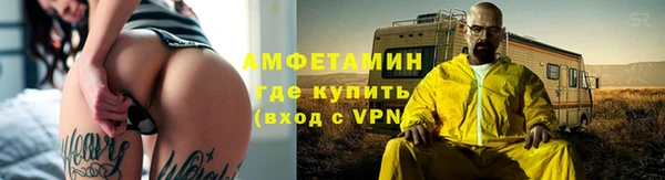 сатива Богданович