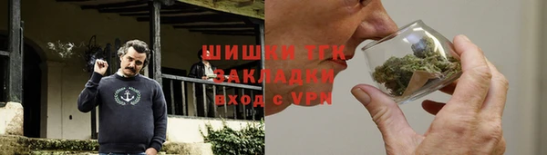 МДПВ Богородск