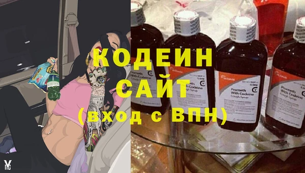 МДПВ Богородск