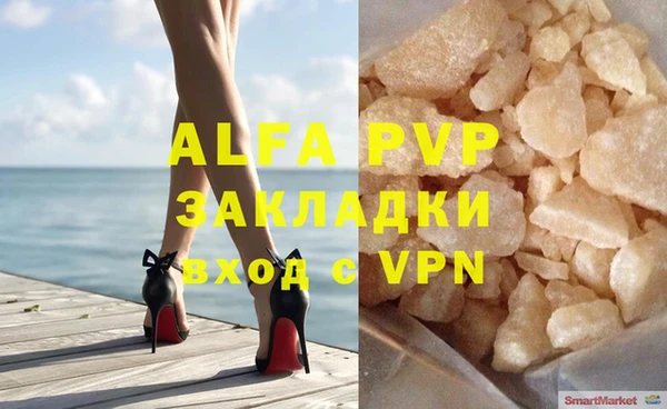 сатива Богданович
