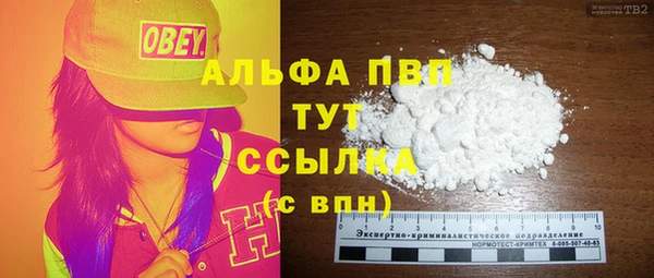 сатива Богданович