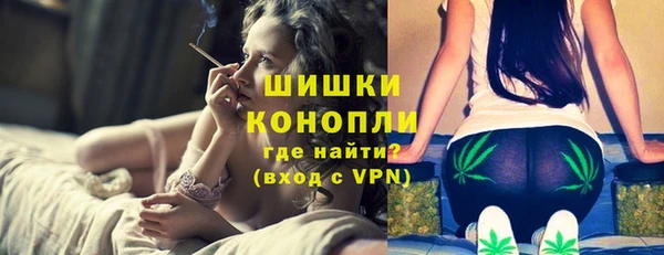 сатива Богданович